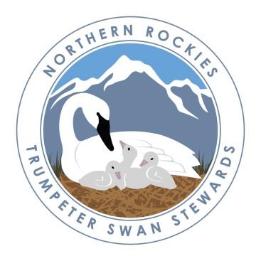 Projects_Northern_Rockies_Trumpeter_Swan_Stewards