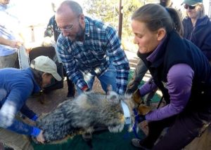 People_Carlos Lopez Gonzalez, Research Associate