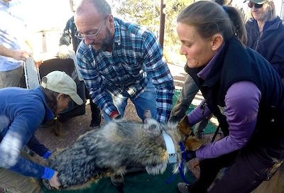 People_Carlos Lopez Gonzalez, Research Associate