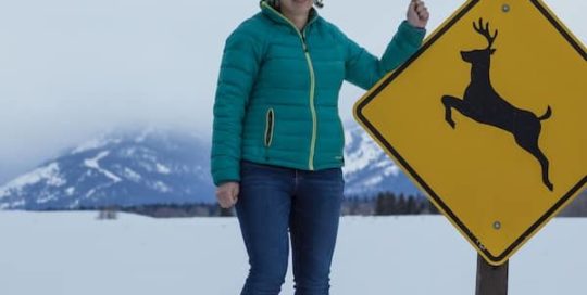 Projects - Reducing Roadkill AFocus on Mule Deer and Golden Eagles in Wyoming