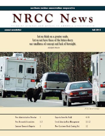 2020_Year In Review_NRCC Newsletter