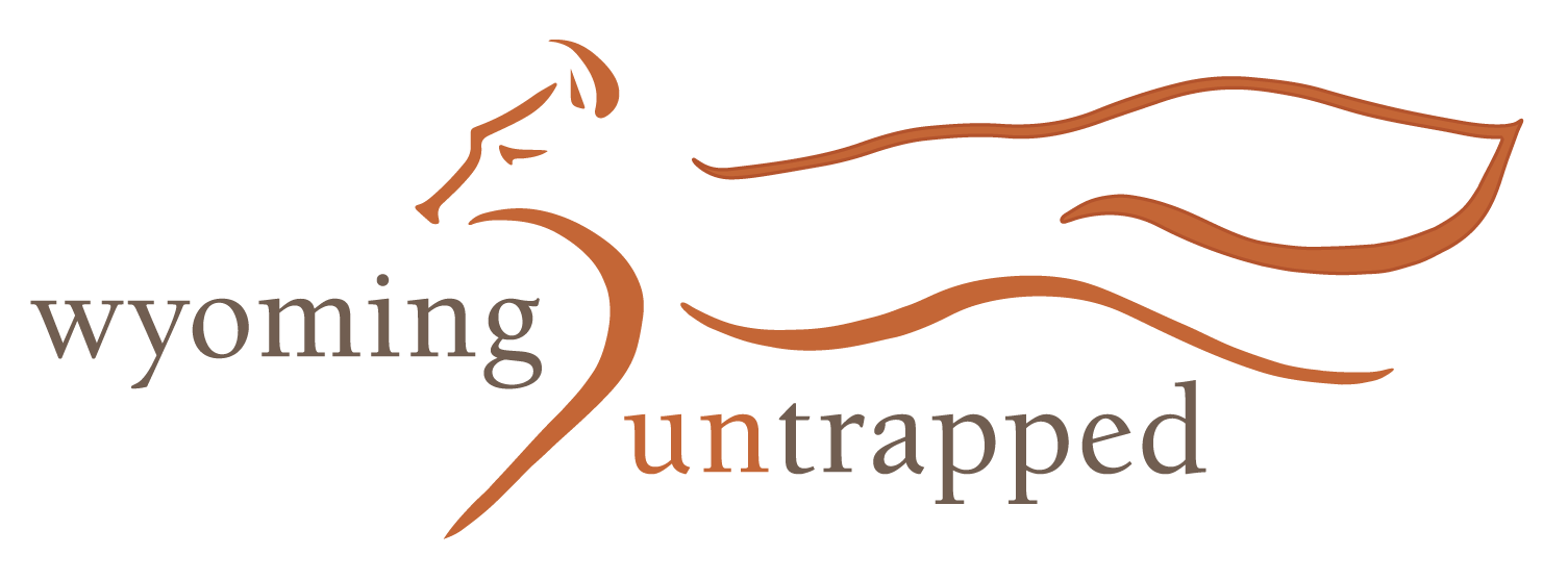 Main Logo