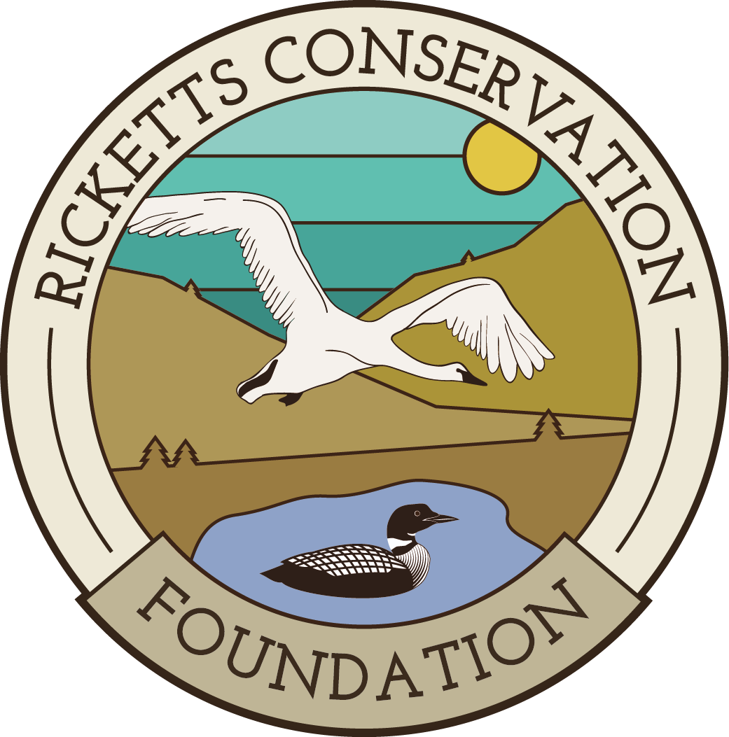 RCF-Logo-v02_preview